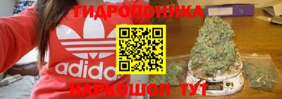 крисы Кумертау