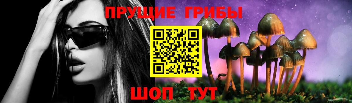 как найти закладки  Галлюциногенные грибы прущие грибы  Вход с VPN  Арзамас 